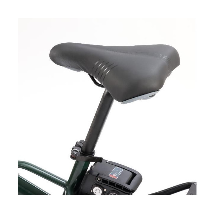 Nilox Bici Elettrica X8 ProPieghevole 250W Green