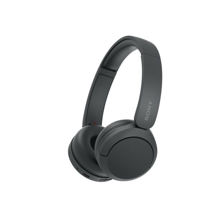 Sony Cuffie Wir/BT Mic WH-CH520 Black