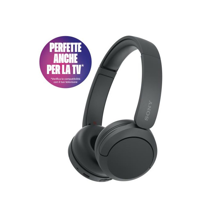 Sony Cuffie Wir/BT Mic WH-CH520 Black