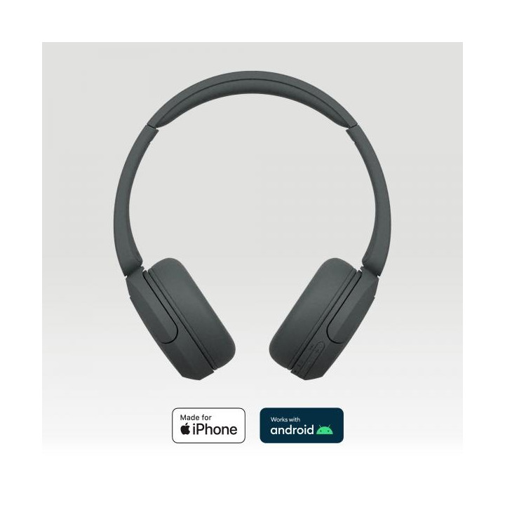 Sony Cuffie Wir/BT Mic WH-CH520 Black