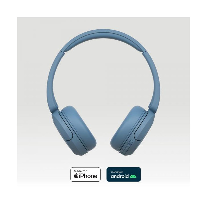 Sony Cuffie Wir/BT Mic WH-CH520L Blue