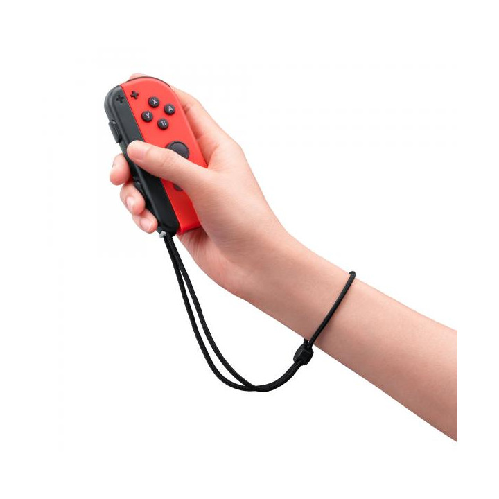 Switch Nintendo Switch Sports