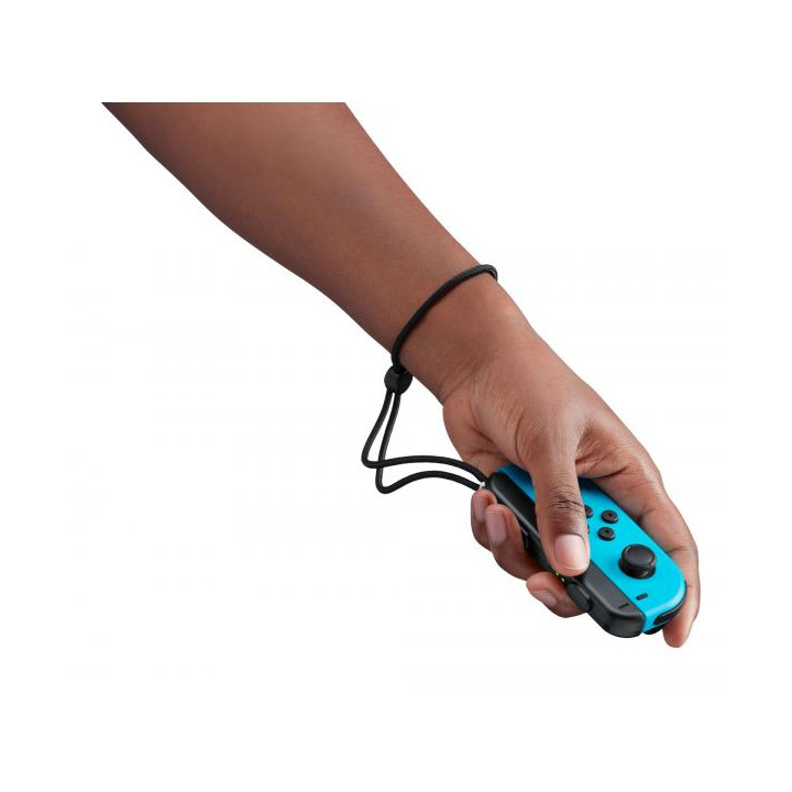 Switch Nintendo Switch Sports