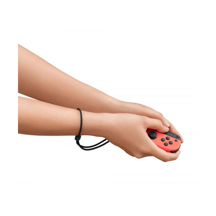 Switch Nintendo Switch Sports