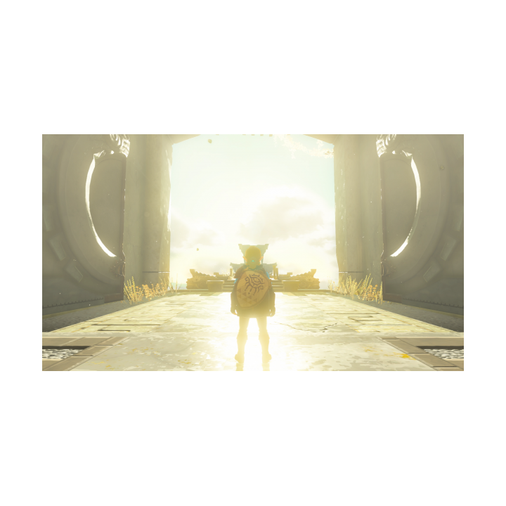 Switch The Legend of Zelda:Tears of the Kingdom TOTK