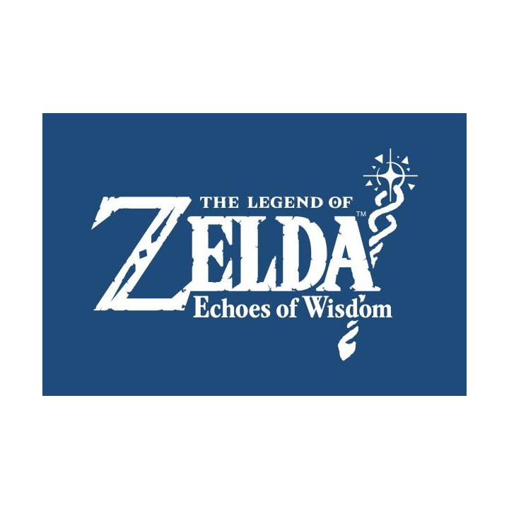 Switch The Legend of Zelda: Echoes of Wisdom