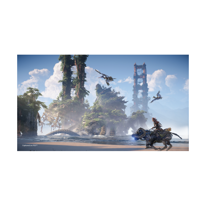 PS4 Horizon Forbidden West