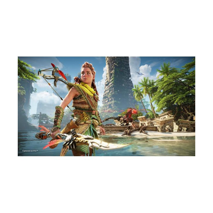 PS5 Horizon Forbidden West