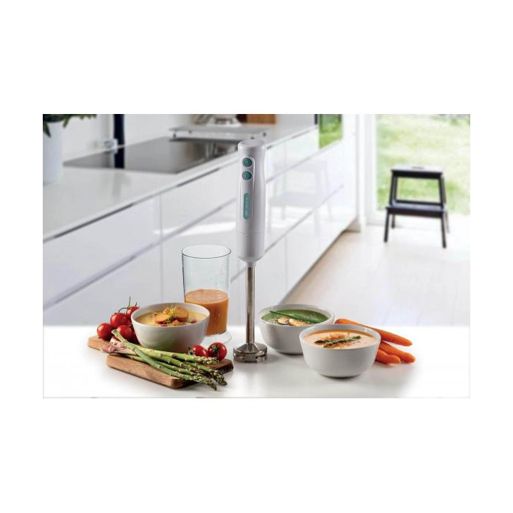 Ariete Frullatore ad Immersione 601 Bianco Celete 700w