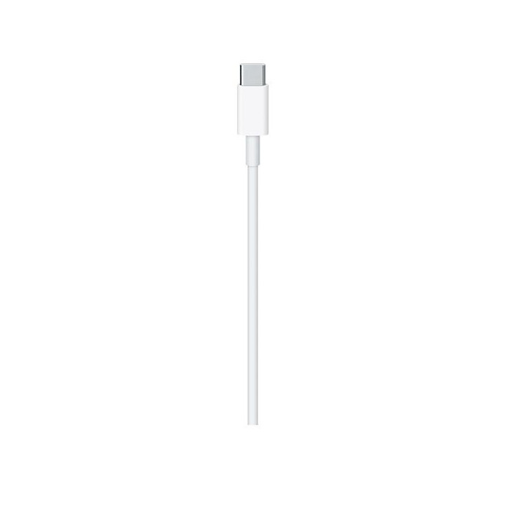 Apple Cavo Ricarica USB-C a USB-C 2m MLL82ZM/A