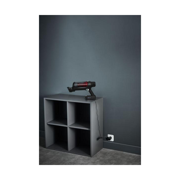 Rowenta Scopa Elettrica X-Pert RH6A71 Ricaricabile Kit Animal Care