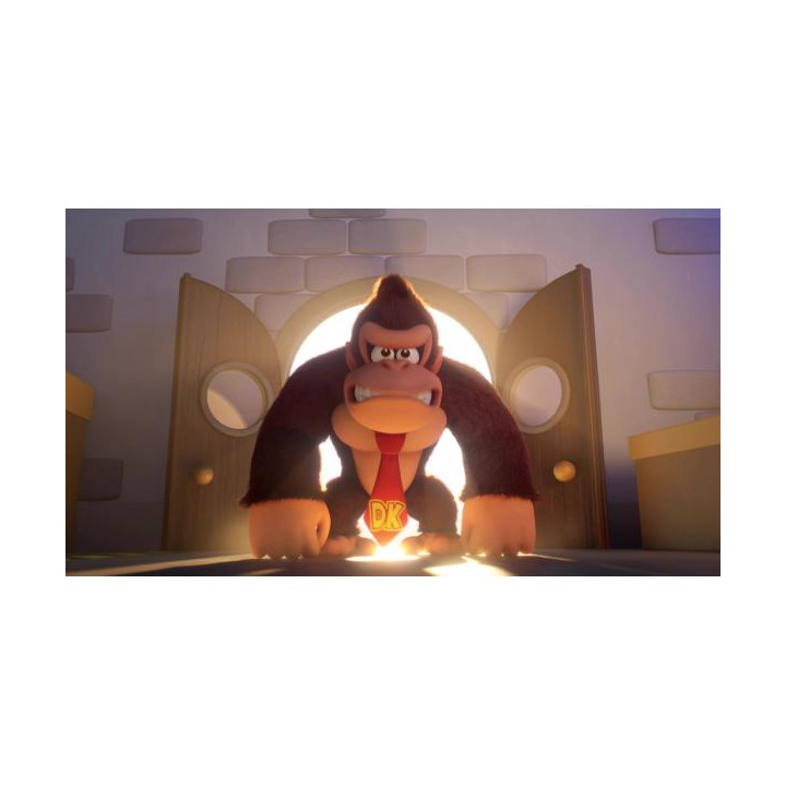 Switch Mario Vs Donkey Kong