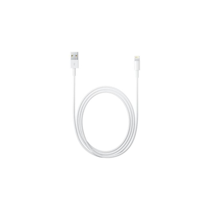 Apple Cavo Lightning a USB-A 2m MD819ZM/A