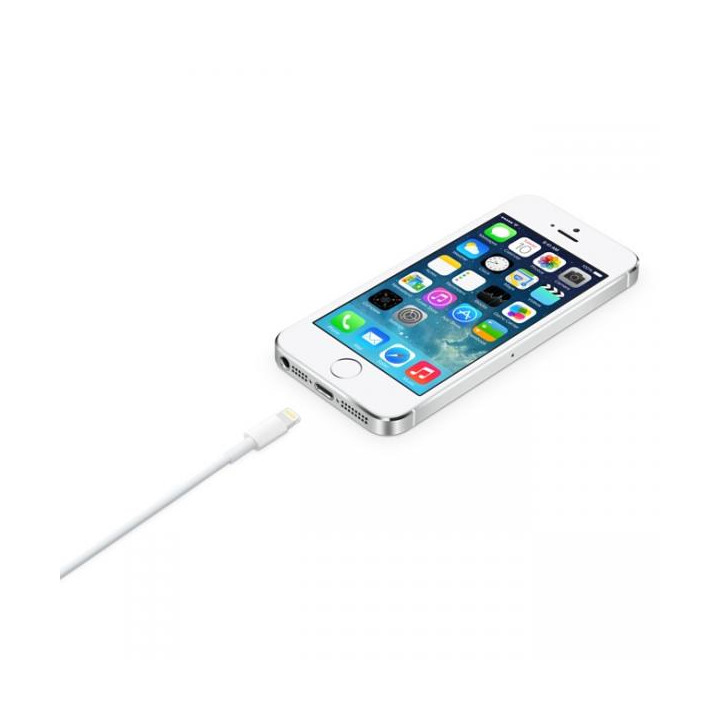 Apple Cavo Lightning a USB-A 2m MD819ZM/A