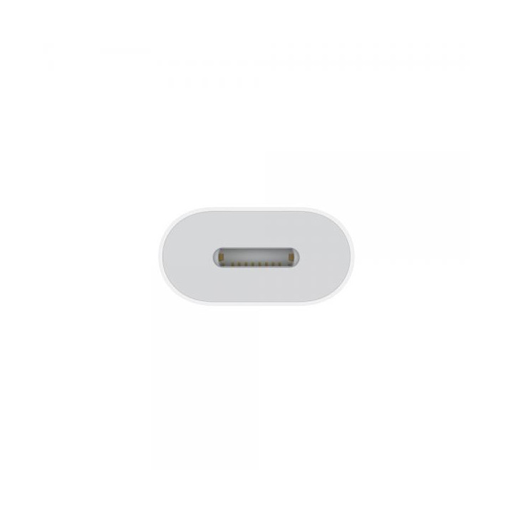 Apple Adattatore USB-C a Lightning MUQX3ZM/A