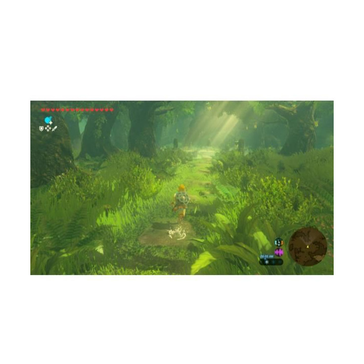 Switch 2 The Legend of Zelda: Tears of the Kingdom