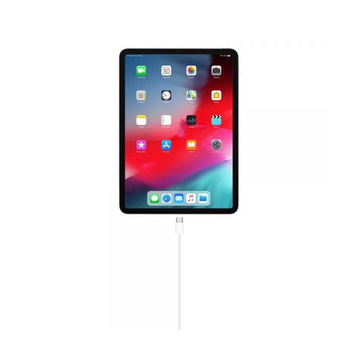 Apple Cavo di Ricarica USB-C a USB-C (1m) MM093ZM/A