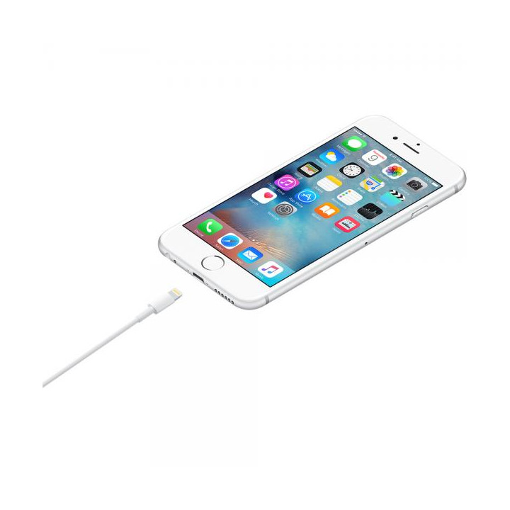 Apple D Cavo Lightning a USB-A 1m MXLY2ZM/A