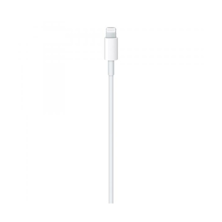 Apple D Cavo USB-C a Lightning 2m MW2R3ZM/A