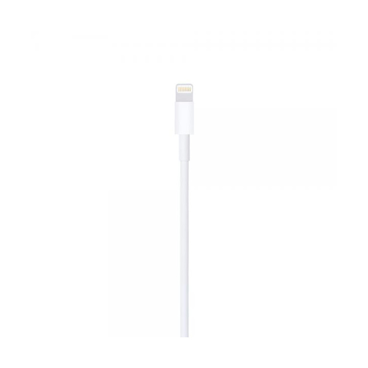 Apple D Cavo Lightning a USB-A 1m MXLY2ZM/A