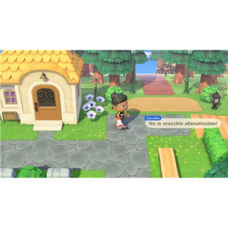Switch 2 Animal Crossing: New Horizons