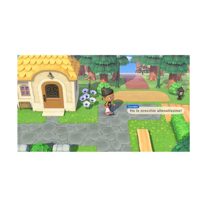 Switch 2 Animal Crossing: New Horizons