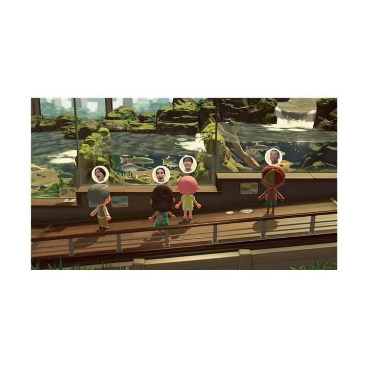 Switch 2 Animal Crossing: New Horizons