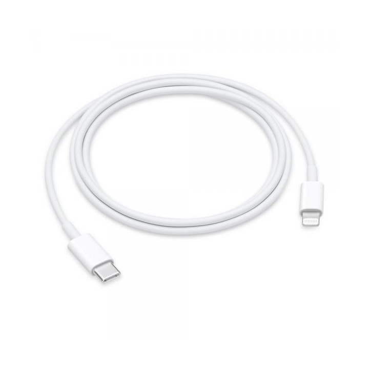 Apple Cavo USB-C a Lightning 1m MUQ93ZM/A