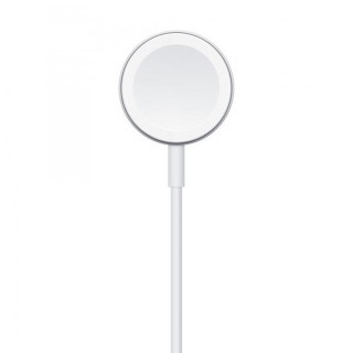 Apple Cavo Magnetico Ricarica Apple Watch USB-A 1m MW6A3ZM/A