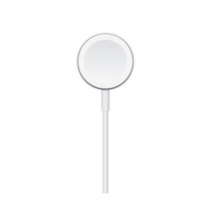 Apple Cavo Magnetico Ricarica Apple Watch USB-A 1m MW6A3ZM/A