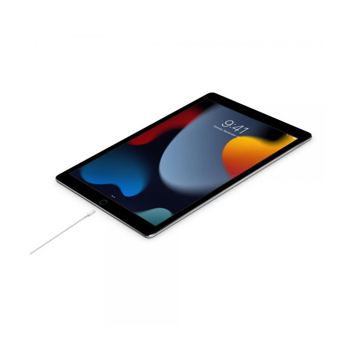 Apple Cavo USB-C a Lightning 1m MUQ93ZM/A