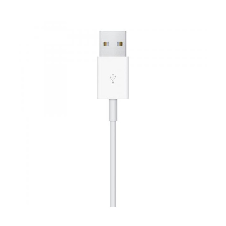 Apple Cavo Magnetico Ricarica Apple Watch USB-A 1m MW6A3ZM/A