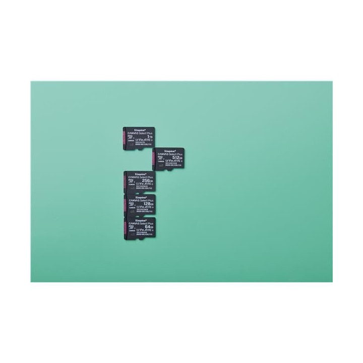 Kingston Micro SD 256GB Cl10 Canvas S.Plus SDCS3/256GB +Ad.SD