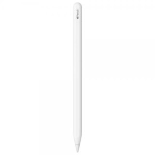 Apple Pencil USB-C per iPad MUWA3ZM/A