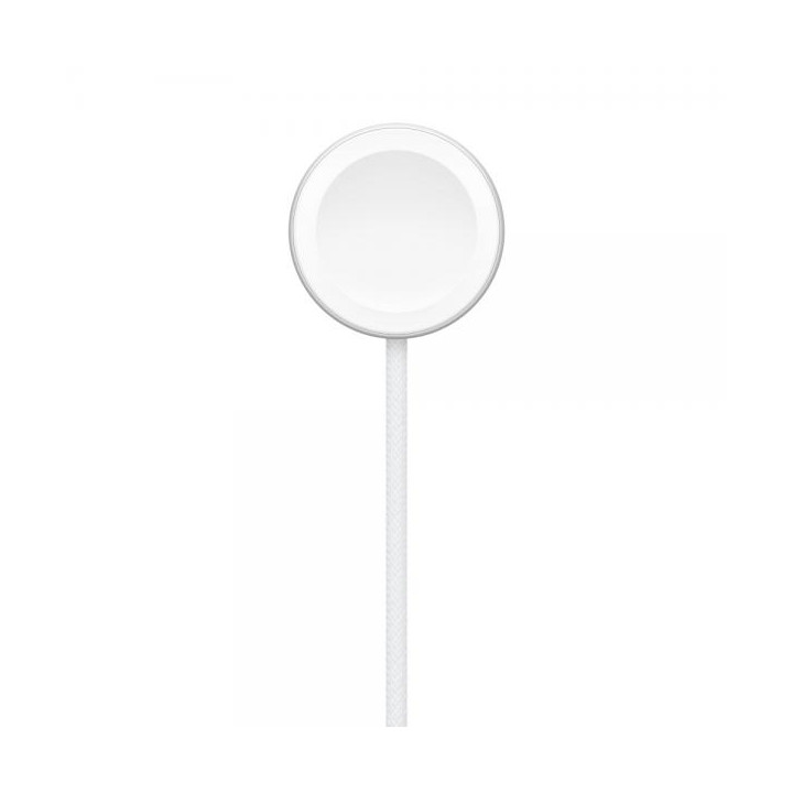 Apple Cavo Magnetico Ricarica Apple Watch USB-C 1m MT0H3ZM/A