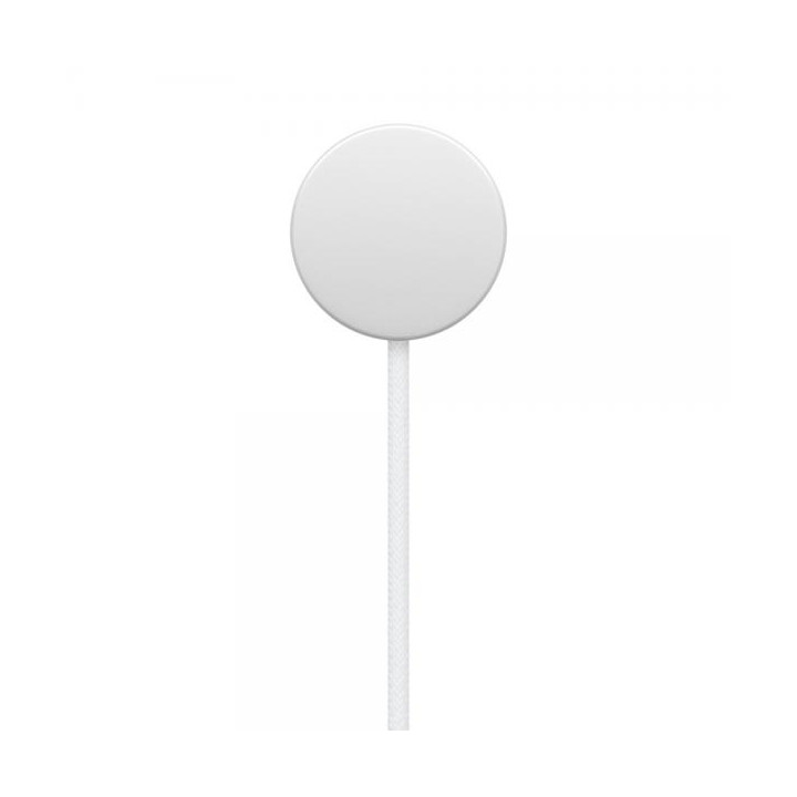 Apple Cavo Magnetico Ricarica Apple Watch USB-C 1m MT0H3ZM/A