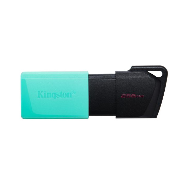 Kingston Pendrive USB-A 3.2 256GB DTXM/256GB Nero/Azzurro