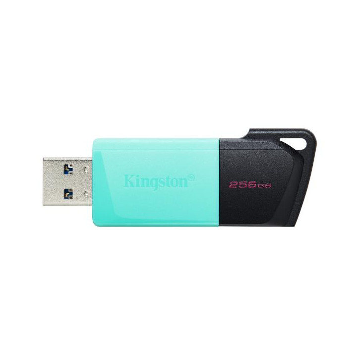 Kingston Pendrive USB-A 3.2 256GB DTXM/256GB Nero/Azzurro
