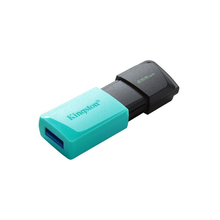Kingston Pendrive USB-A 3.2 256GB DTXM/256GB Nero/Azzurro