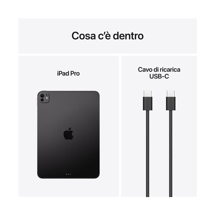 Apple iPad Pro 2025 6Gen 11" 256GB CELL M5 Silver ITA ME2P4TY/A