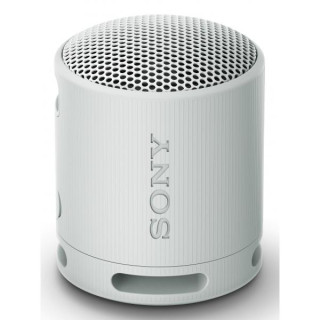 Sony SRS-XB100 Speaker Wireless Bluetooth Grigio