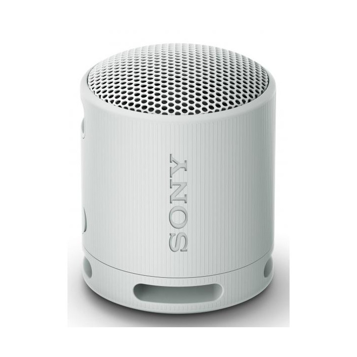 Sony SRS-XB100 Speaker Wireless Bluetooth Grigio
